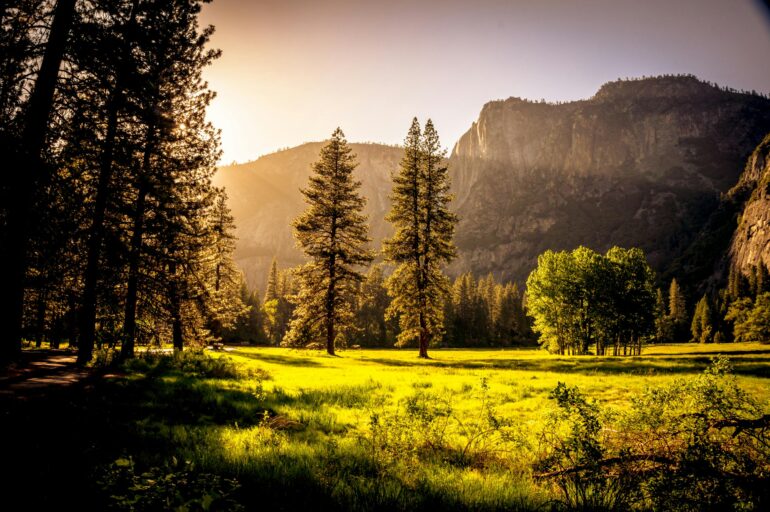 Step Into the Wild Lesser-Known Sanctuaries for Wildlife Enthusiasts